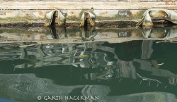 Dock and Reflections in Ft. Bragg to Rockport photo gallery