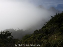 Fog and Ridges in Lost Coast photo gallery