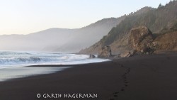 Footsteps to the Wild in Lost Coast photo gallery
