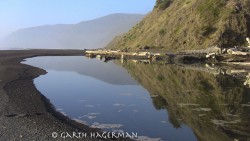 Lagoon Reflections in Lost Coast photo gallery