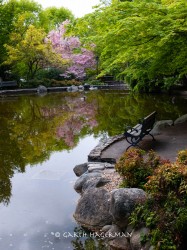 Lithia Park in Oregon photo gallery